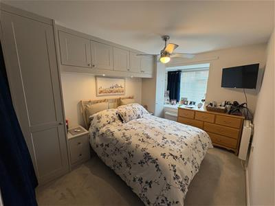 Picture 7